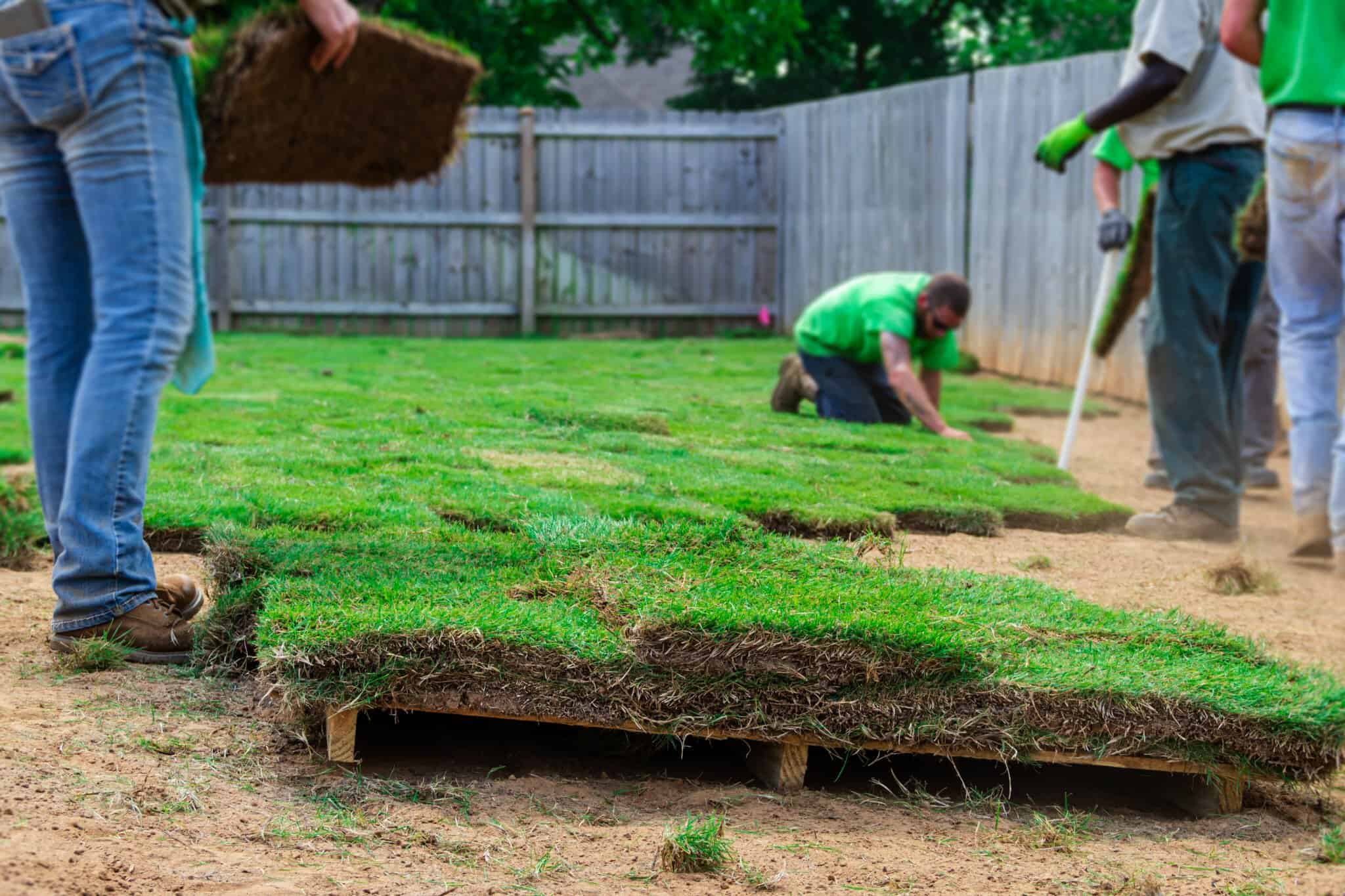 JBM Landscape and Irrigation Services JBM Landscape and Irrigation Services