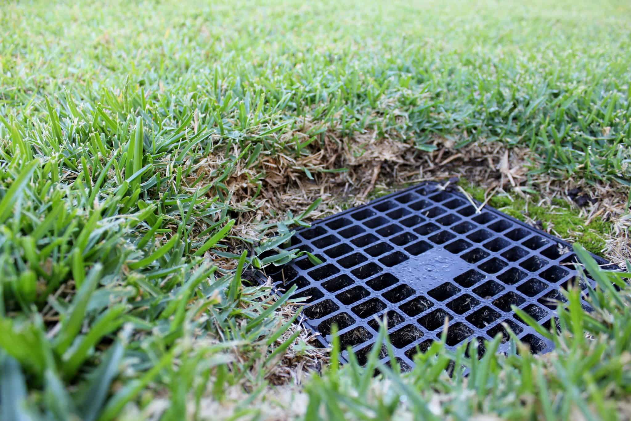 JBM Landscape and Irrigation Services JBM Landscape and Irrigation Services